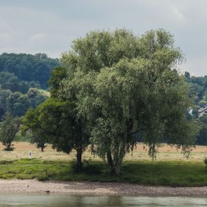 Bötchenfahrt — Bild 15